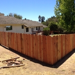 Backyard Makeover
