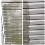 Mold on Vinyl Siding