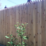 Cedar Stockade