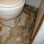 Bathroom mold