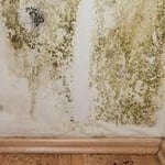 Vacant home