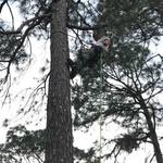 Experienced Climbing