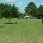 Lawn 1