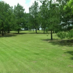 Lawn