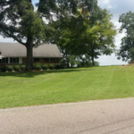 Lawn 4