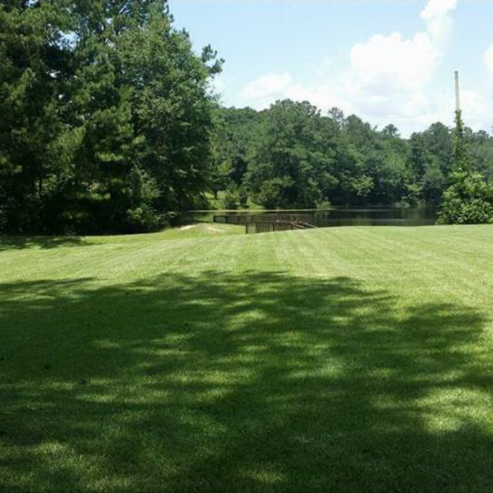 Lawn 5
