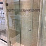 Taurus glass shower door