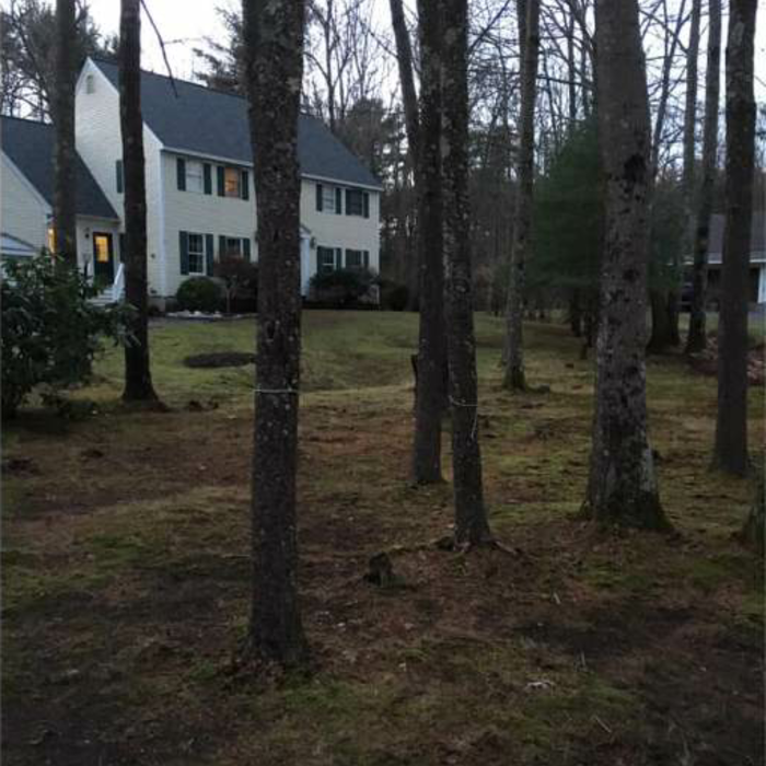 Seasonal clean-up (after)
