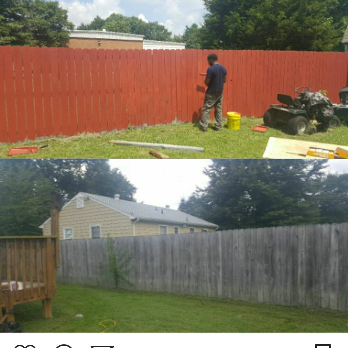 Fence painting