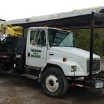 TREE REMOVAL