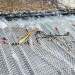 Keeps out everything.