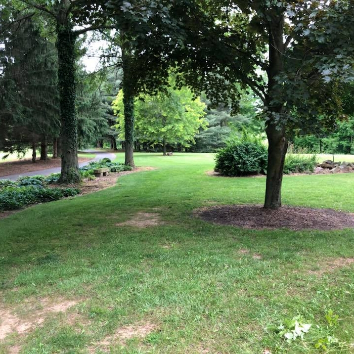 Before Mulch