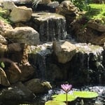 Parkers Ponds,( Making Mother Nature Jealous)