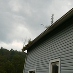 Gutter before cleaning