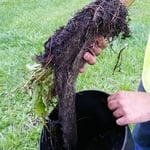 Removed debris from the gutter