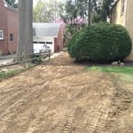 Front yard