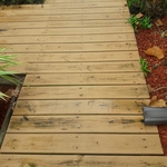 Deck Repair