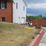 Removal of the stumps