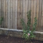 Outdoor area we redesigned.