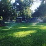 Two months after a new irrigation system.