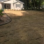 Fresh zoysia sod.