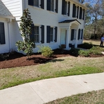 Mulch 5