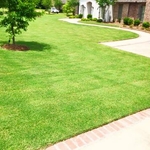 Lawn Mowing 5