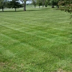 House yard