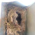 Roof Vent