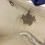 Inside House With Some Of Lint Going To Roof