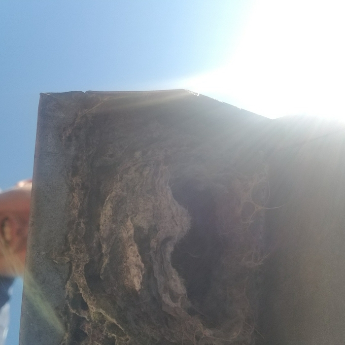 Vent On Roof