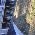 Patio and wall