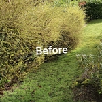 Complete Cleanups