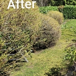 Spring/Fall Cleanups