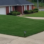 Lawn Maintenance