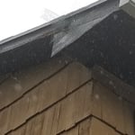1 way door to stop squirrels from entering back in