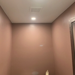 Bath Fan/Disk Lights