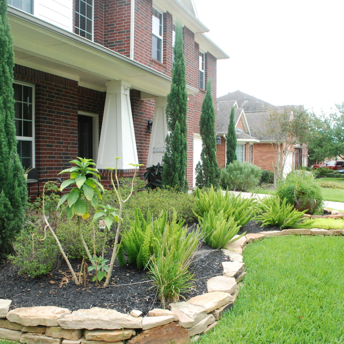 Landscape and Irrigation Install