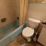 Egypt Lake 2nd Bathroom