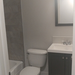 Egypt Lake 2nd Bathroom