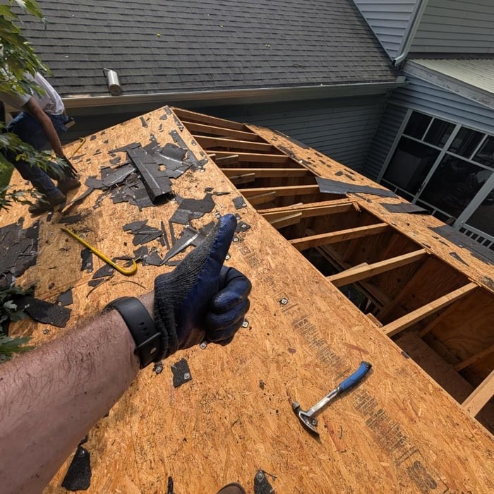 Shed Demolition
