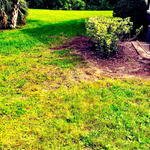 After clean up