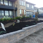 Our Work
