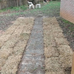 Sod and walkway installat
