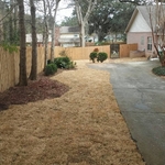 Landscape Renovation