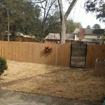 Landscape Renovation