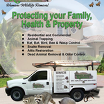 Our Services