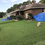 Just roofs jobs