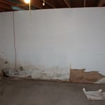 Basement drywall section with visual mold growth