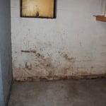 Basement foundation wall with visual mold growth